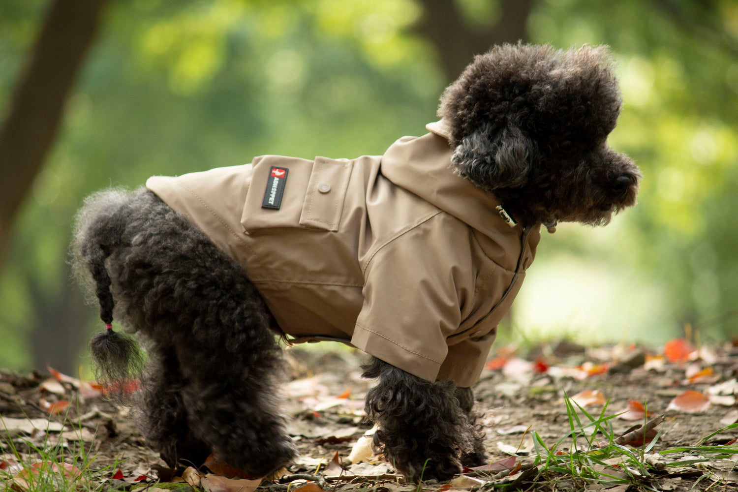 Doggie Rainshield-Sable