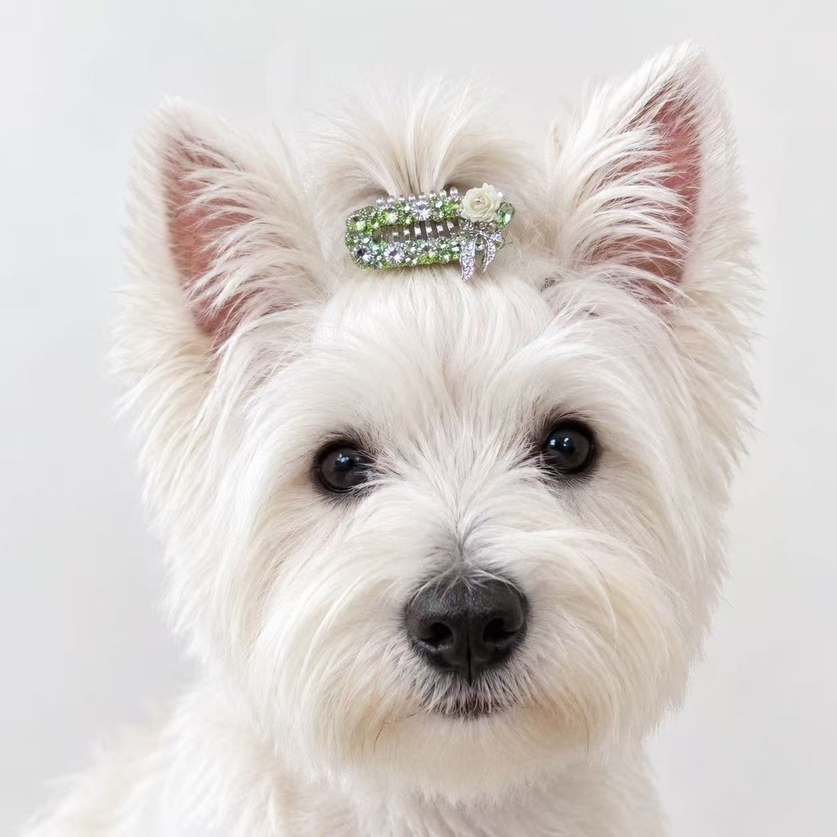 Lime Rose Pet Hair Clip