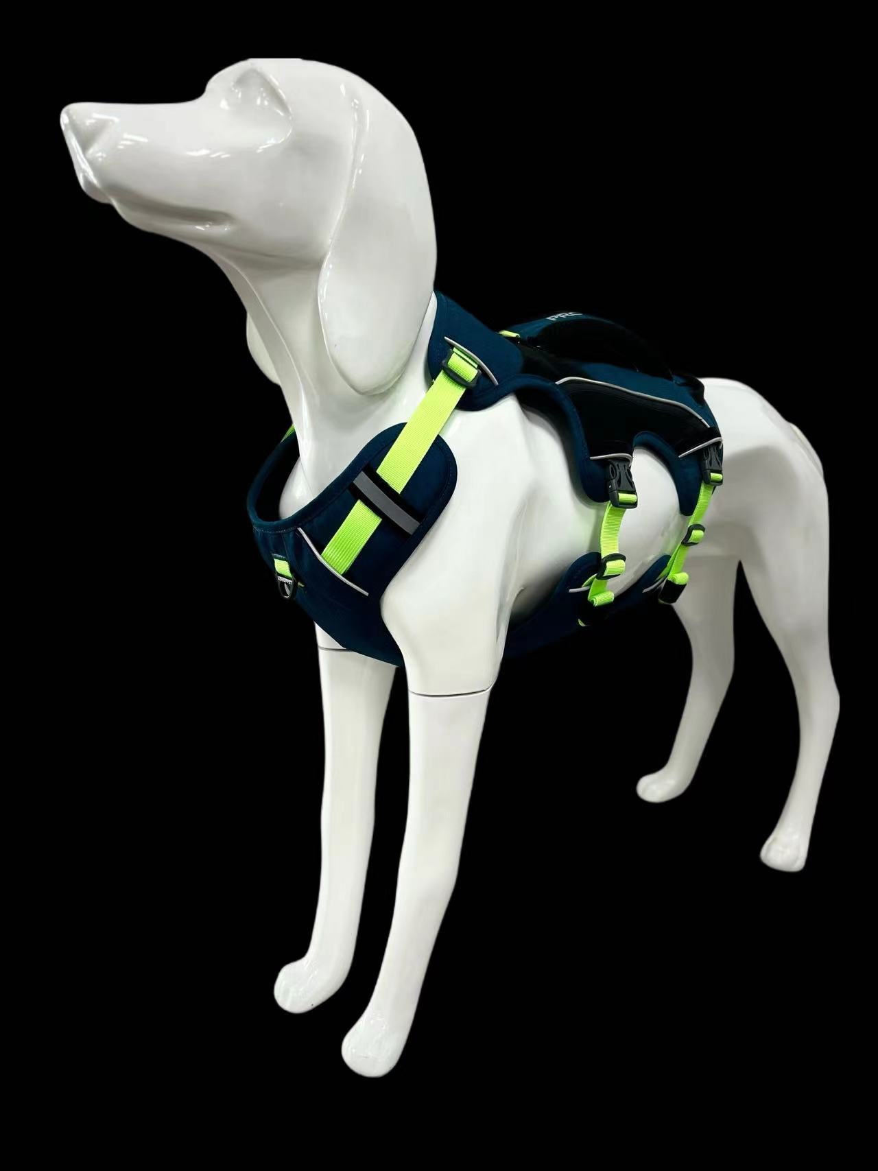 SPRINTER HARNESS/AD-SS001
