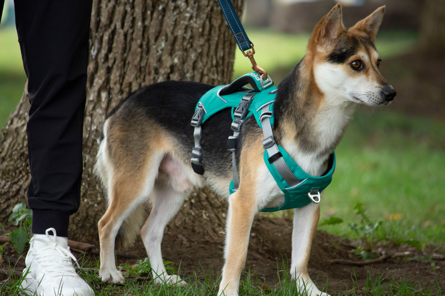 TRAILER HARNESS