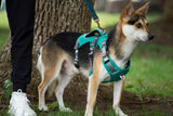 Trailer Harness-Sage