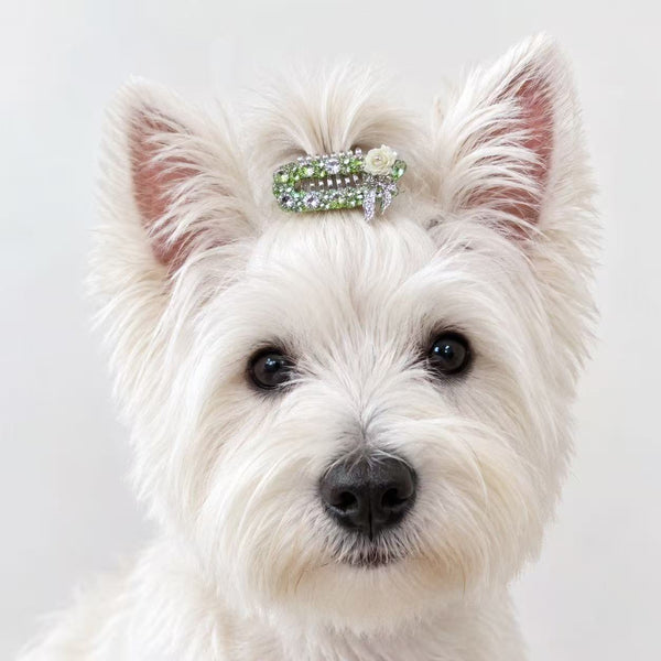 Lime Rose Pet Hair Clip