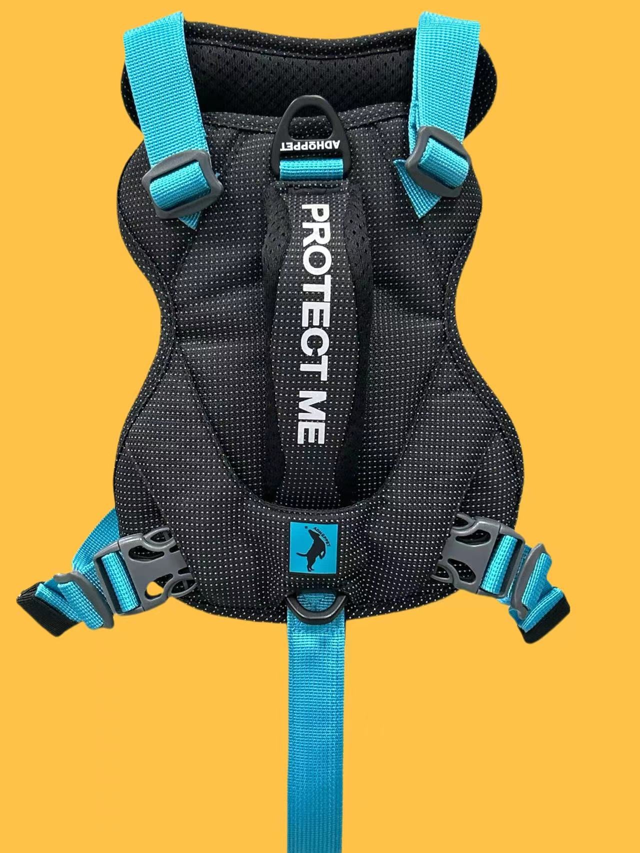 CUSTOM HARNESS-BLUE