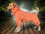 LuxuryPupShield/Tangerine